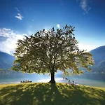Bled Castle View Medina * Zgornje Gorje