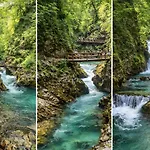 Bled Castle View Medina