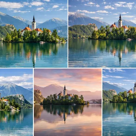 Bled Castle View Medina *